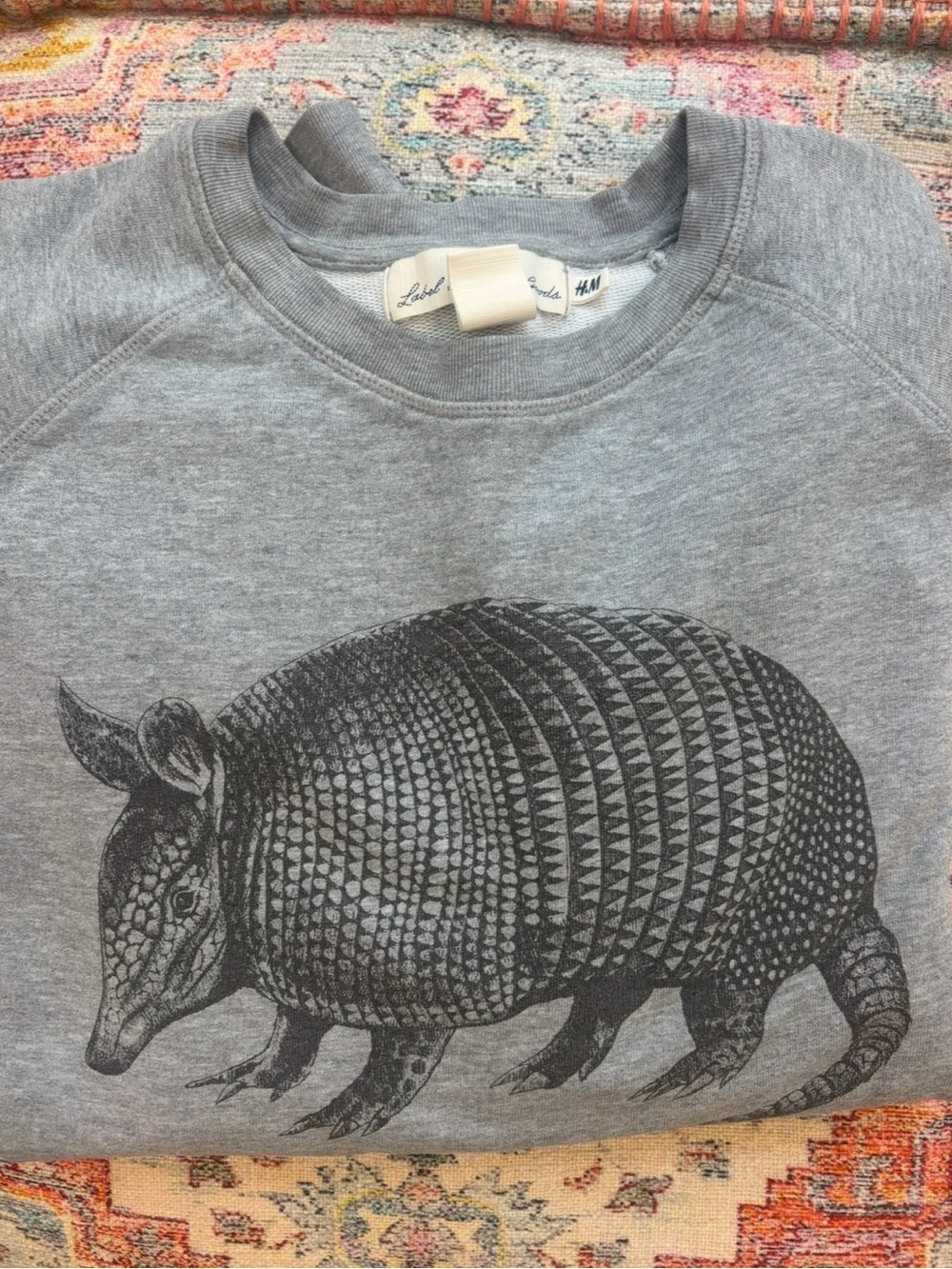 H&M Gray Armadillo Graphic Sweatshirt